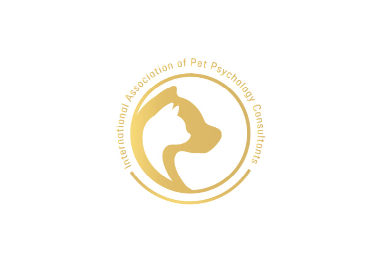 프래들 대표 이미지