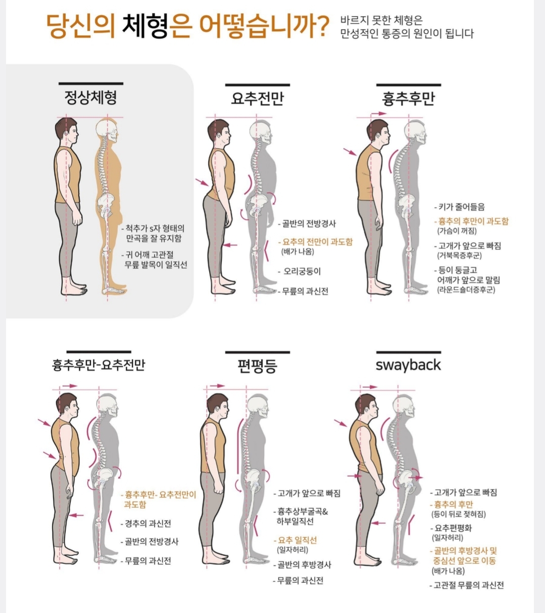제이도수 photo 5