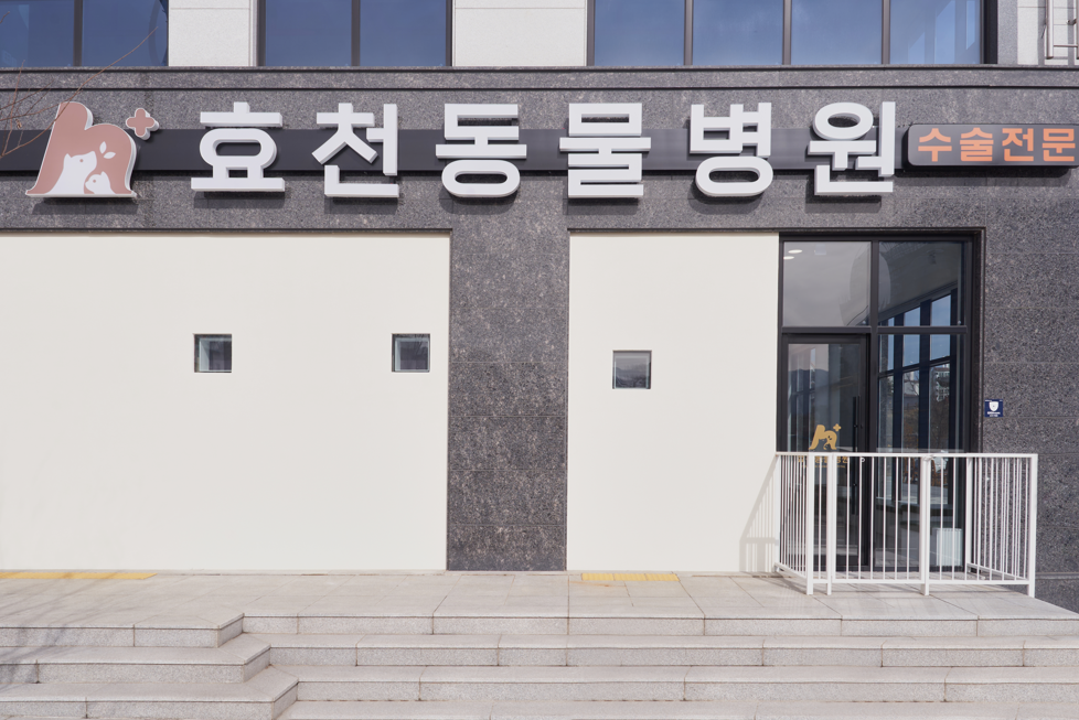 효천동물병원