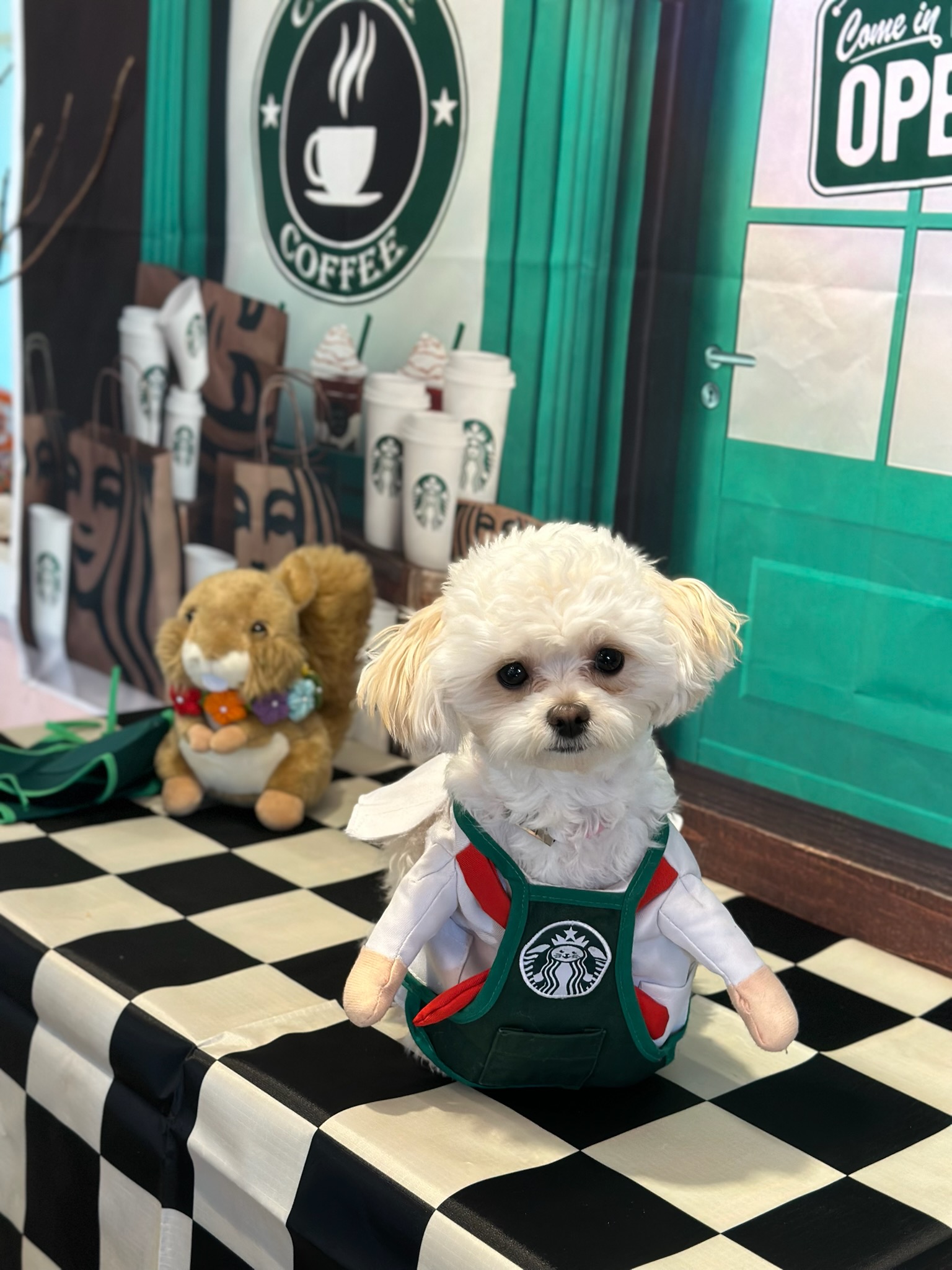 개떼놀이터 남양주 대표 이미지