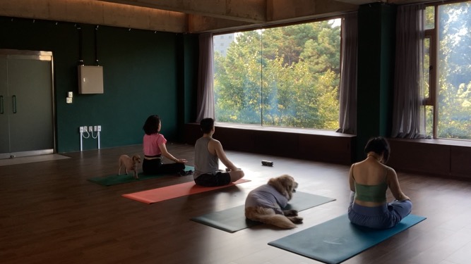 생활원,요가 대표 이미지