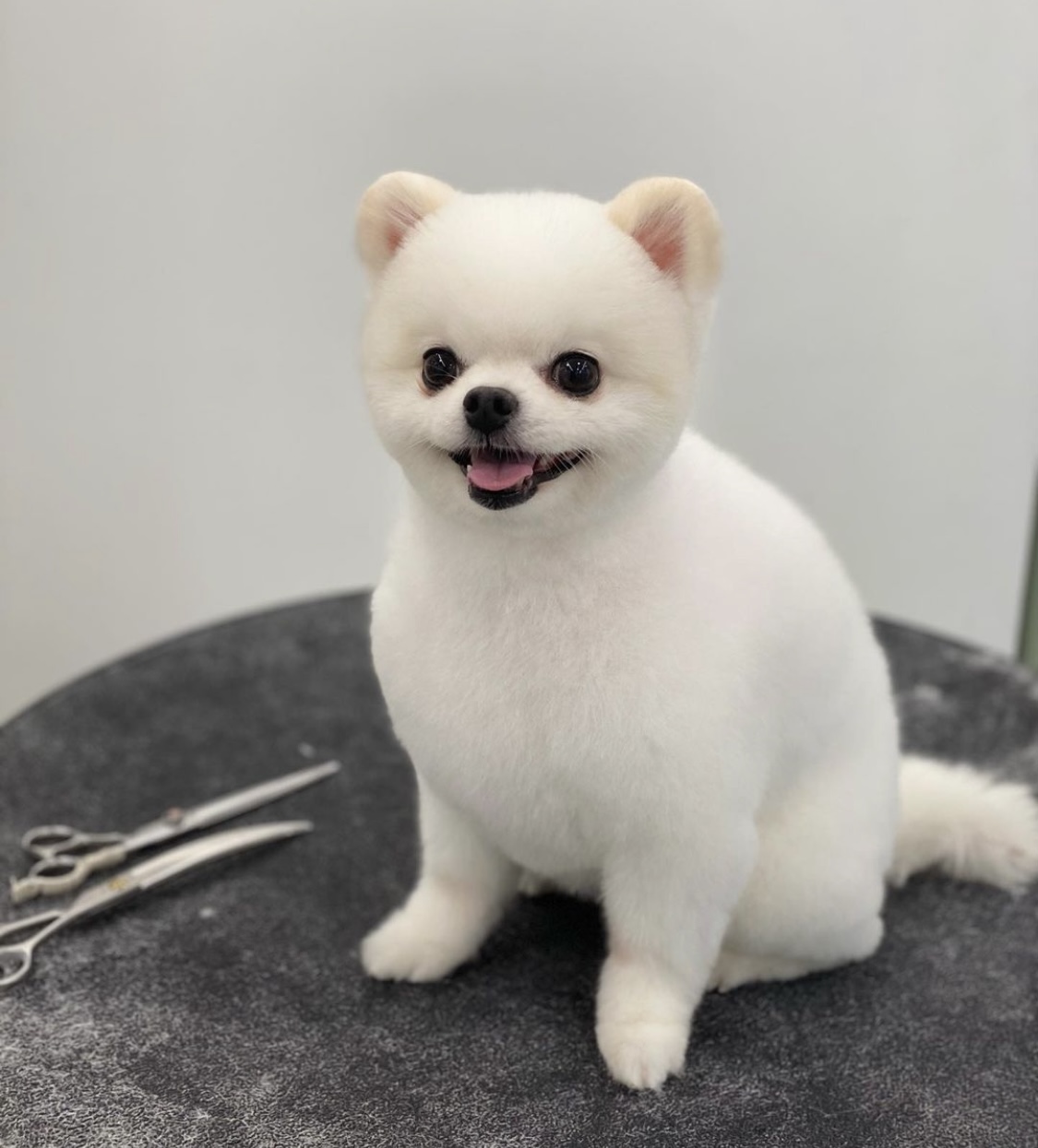 다올 대표 이미지