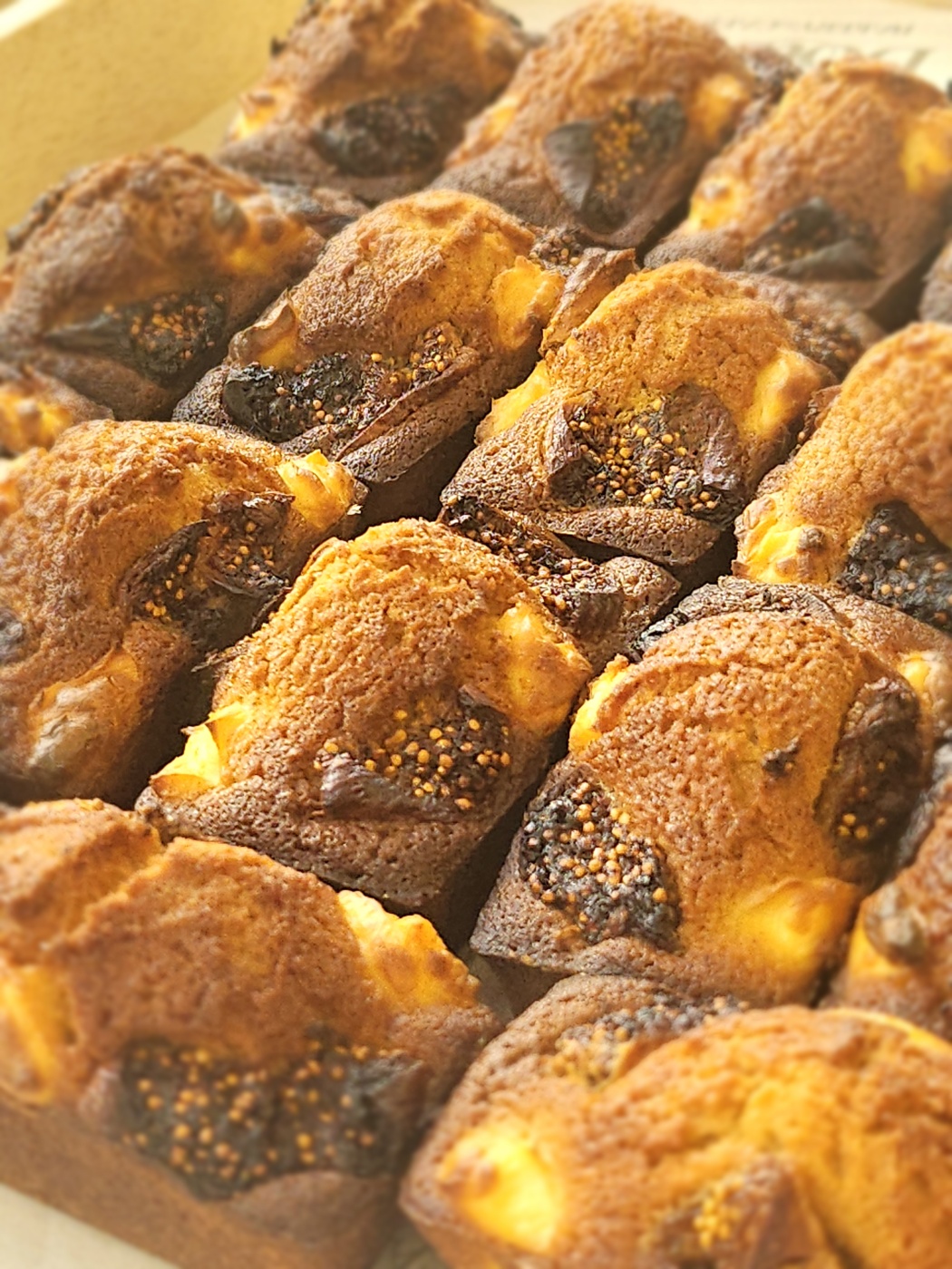 돌치베이커리