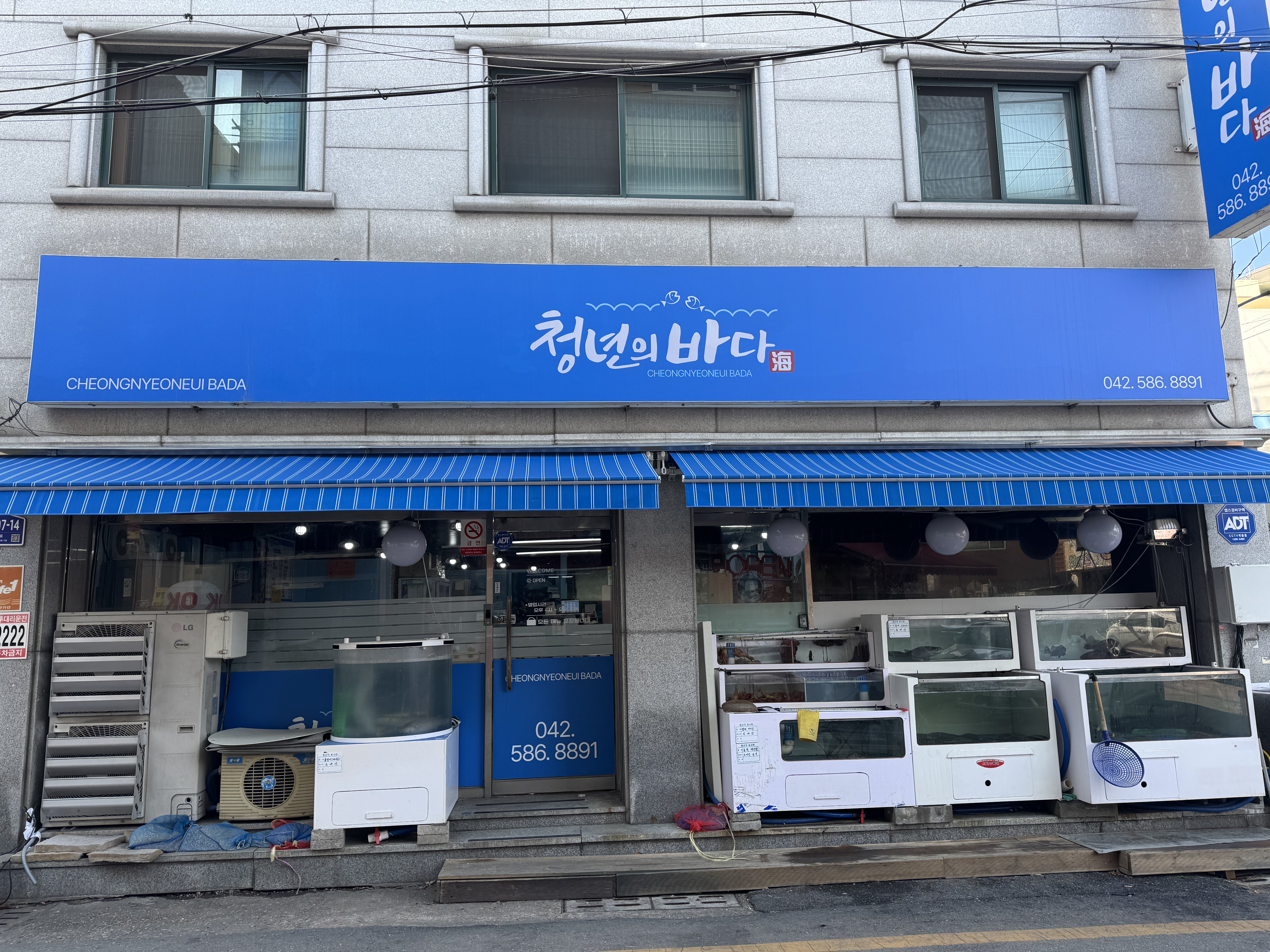청년의바다