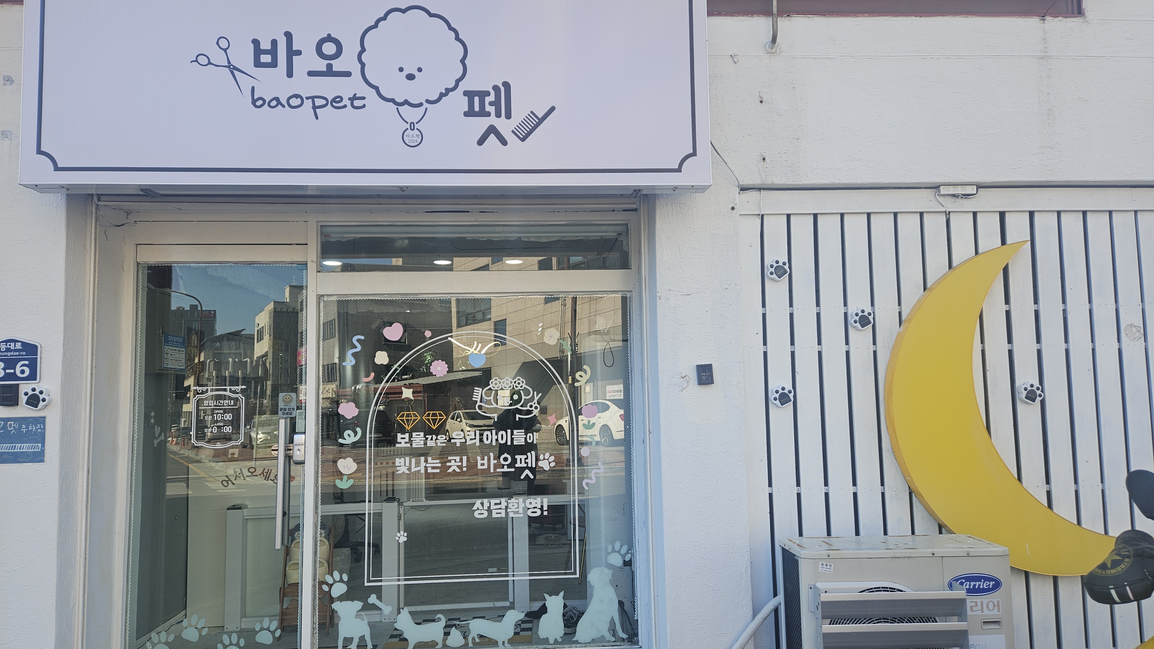 바오펫 대표 이미지