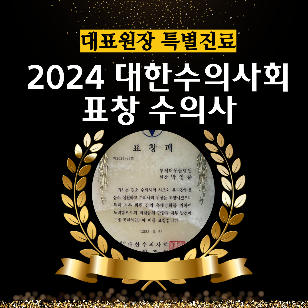 투게더 동물병원 대표 이미지