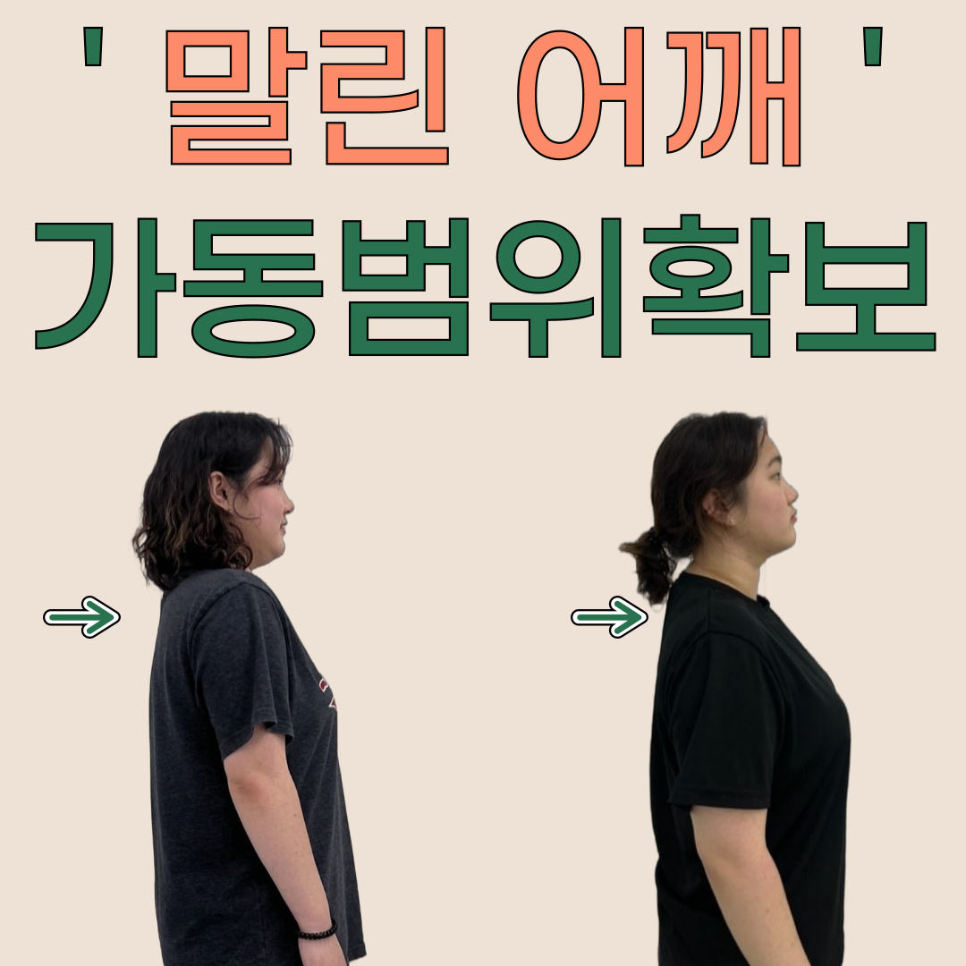 리바디체형교정 삼화점 대표 이미지