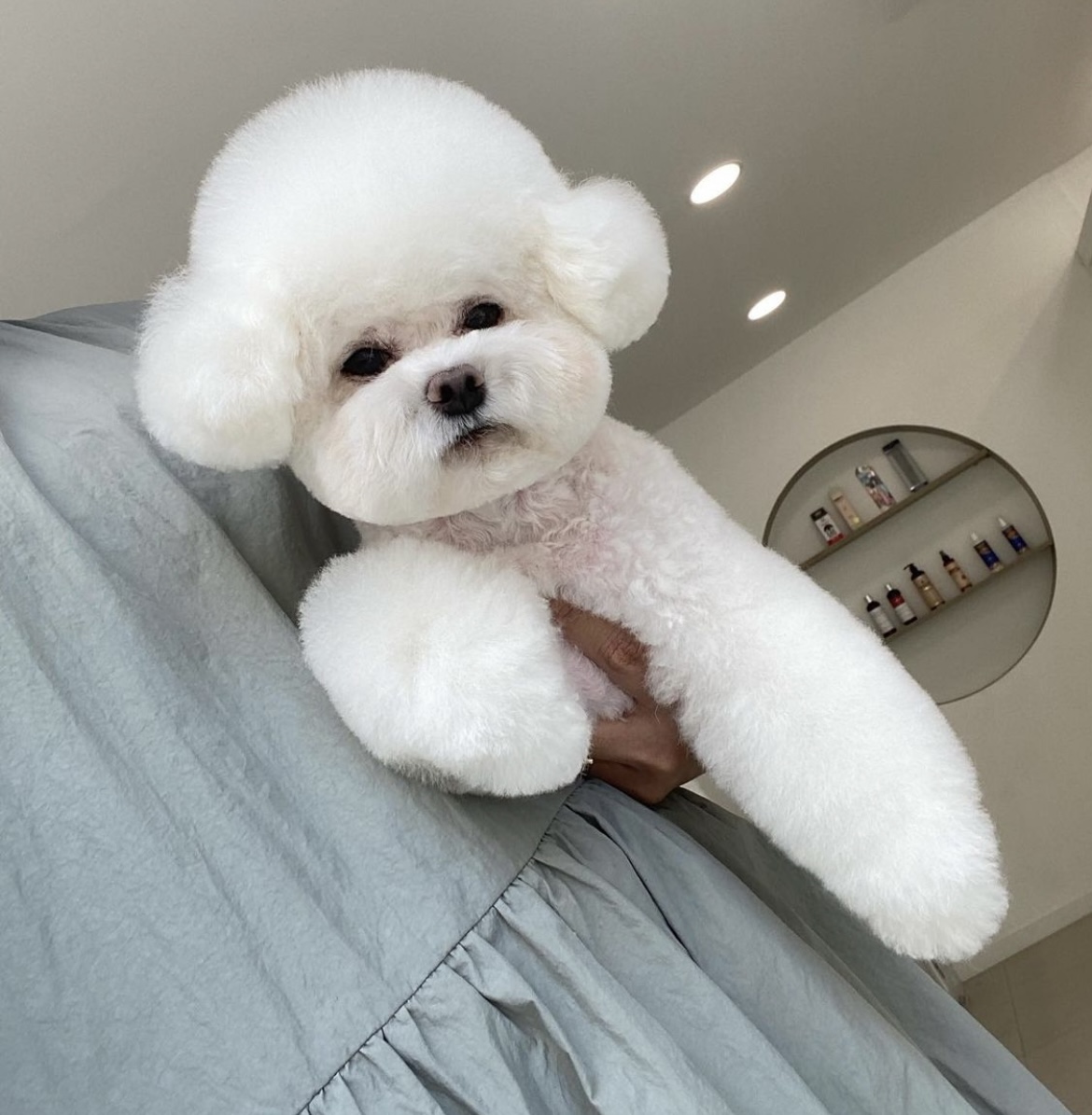 다올 대표 이미지