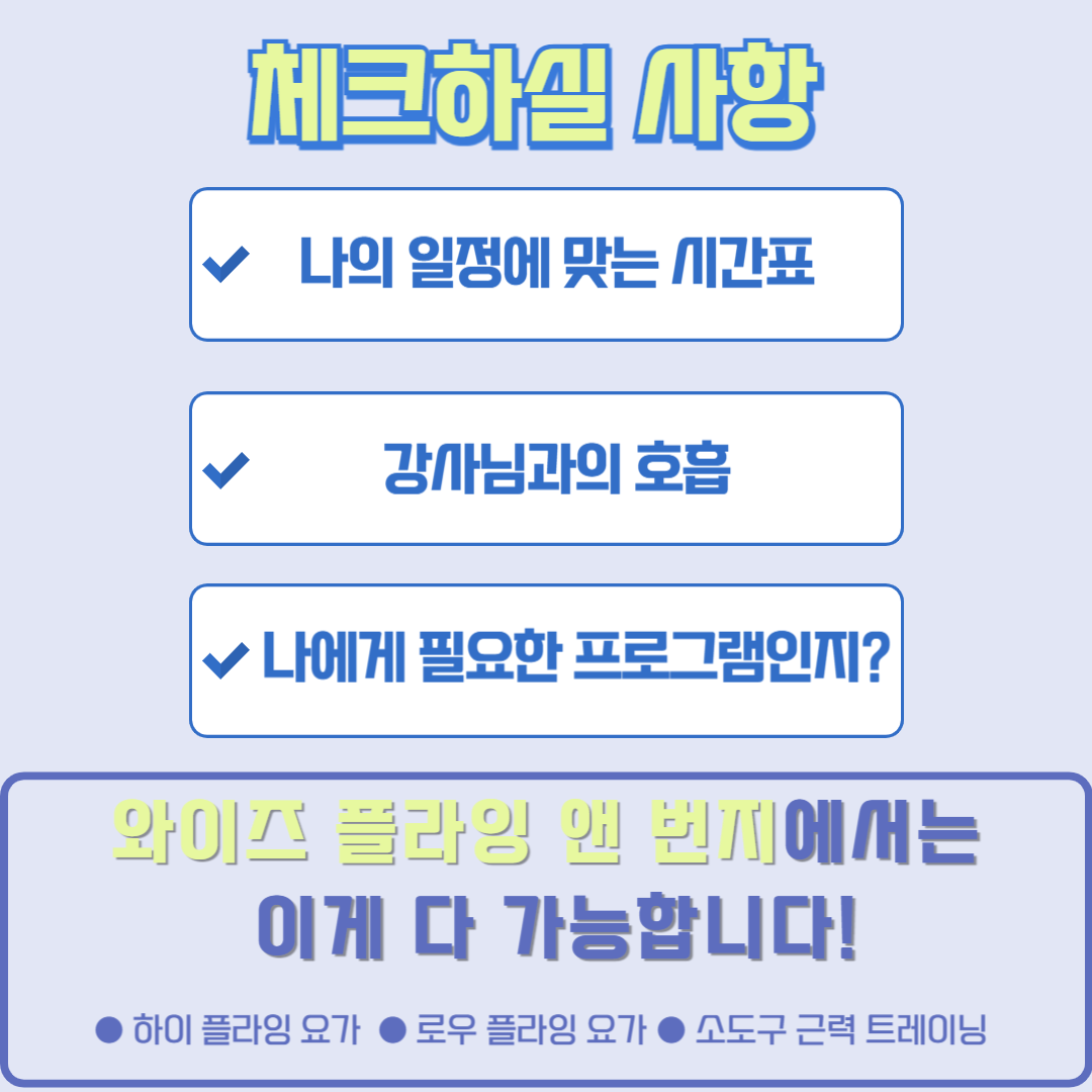 와이즈 플라잉 앤 번지 대표 이미지