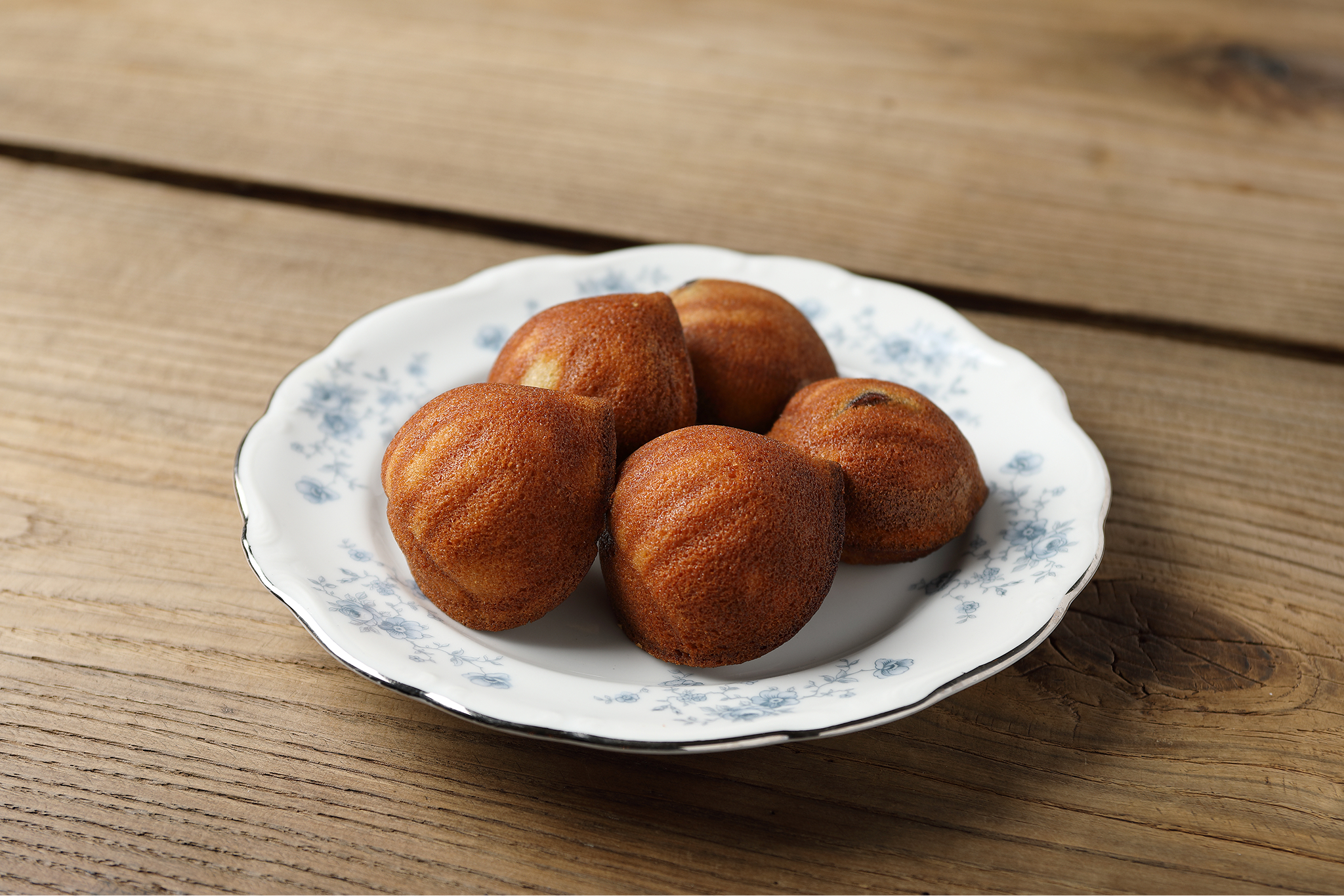 코히루 6