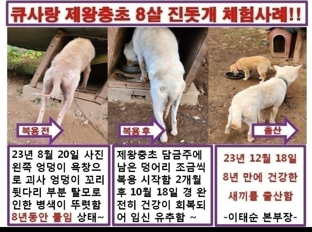 큐사랑 옥포돌미로점
