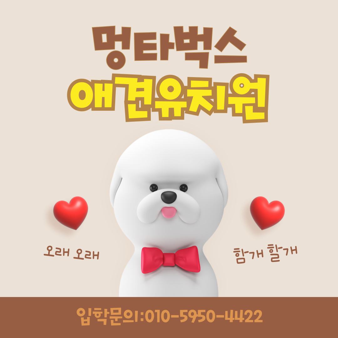사진 4