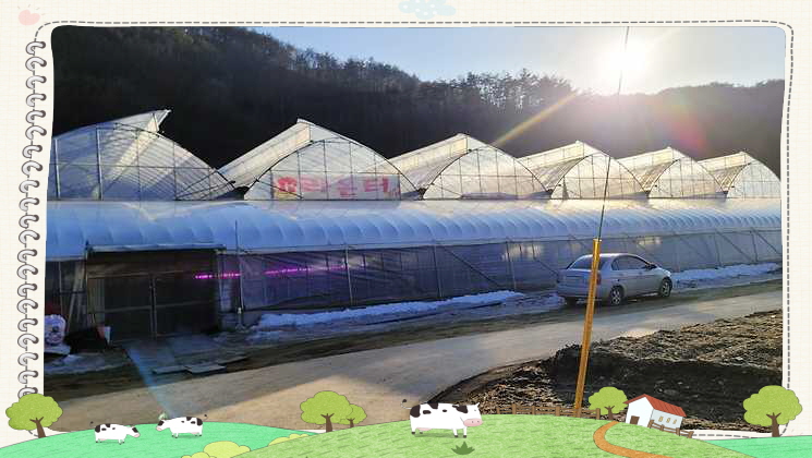 라온터 농업회사법인