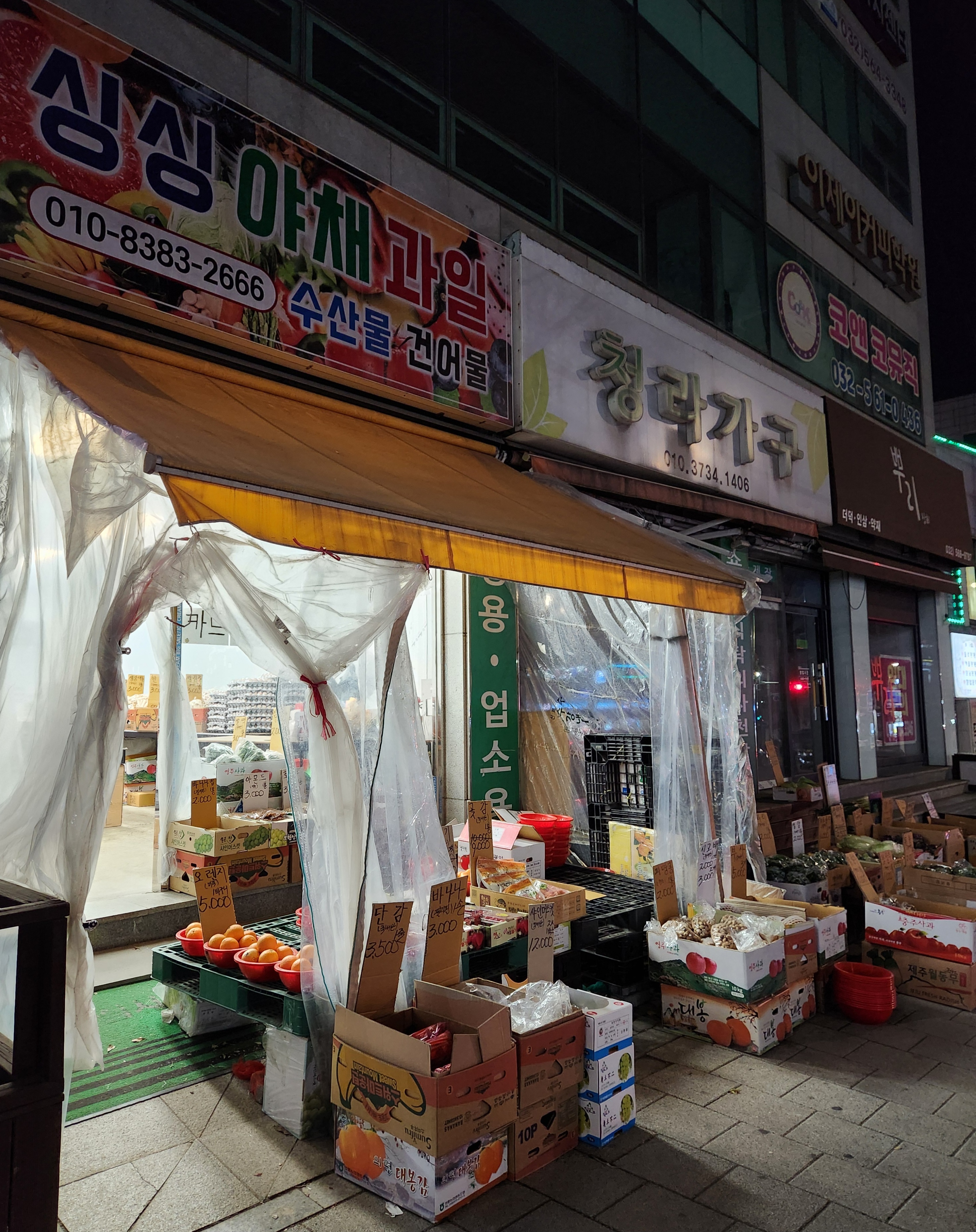 싱싱야채과일