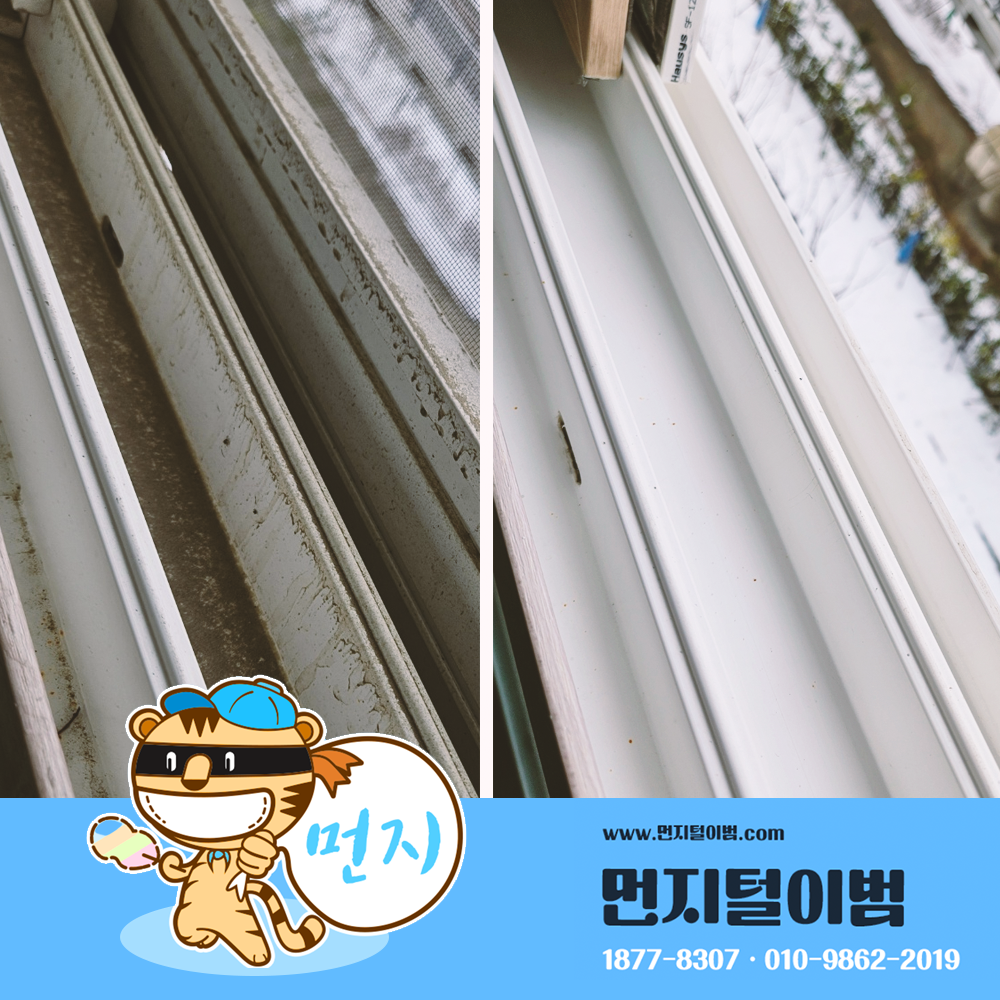 먼지털이범 대표 이미지