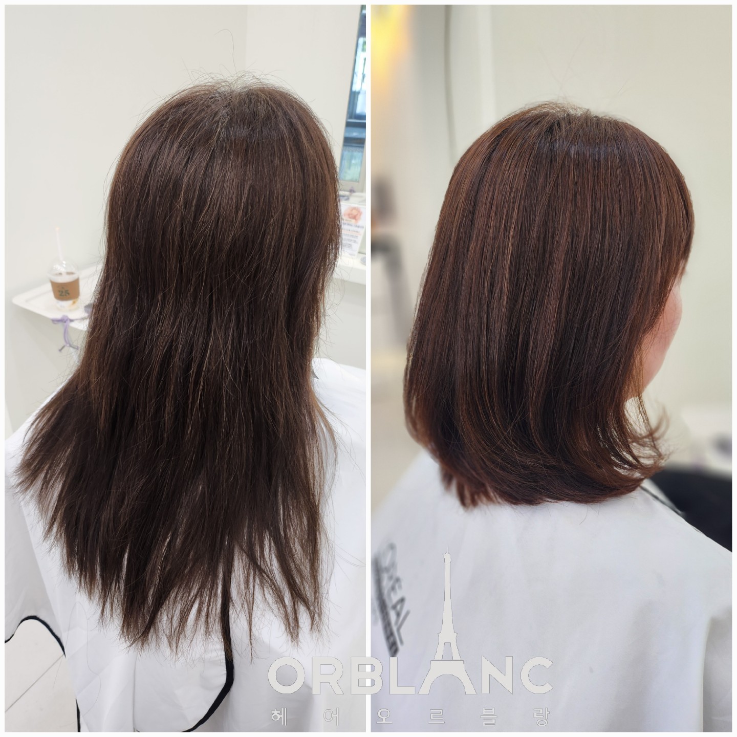 헤어오르블랑 여의도국회의사당