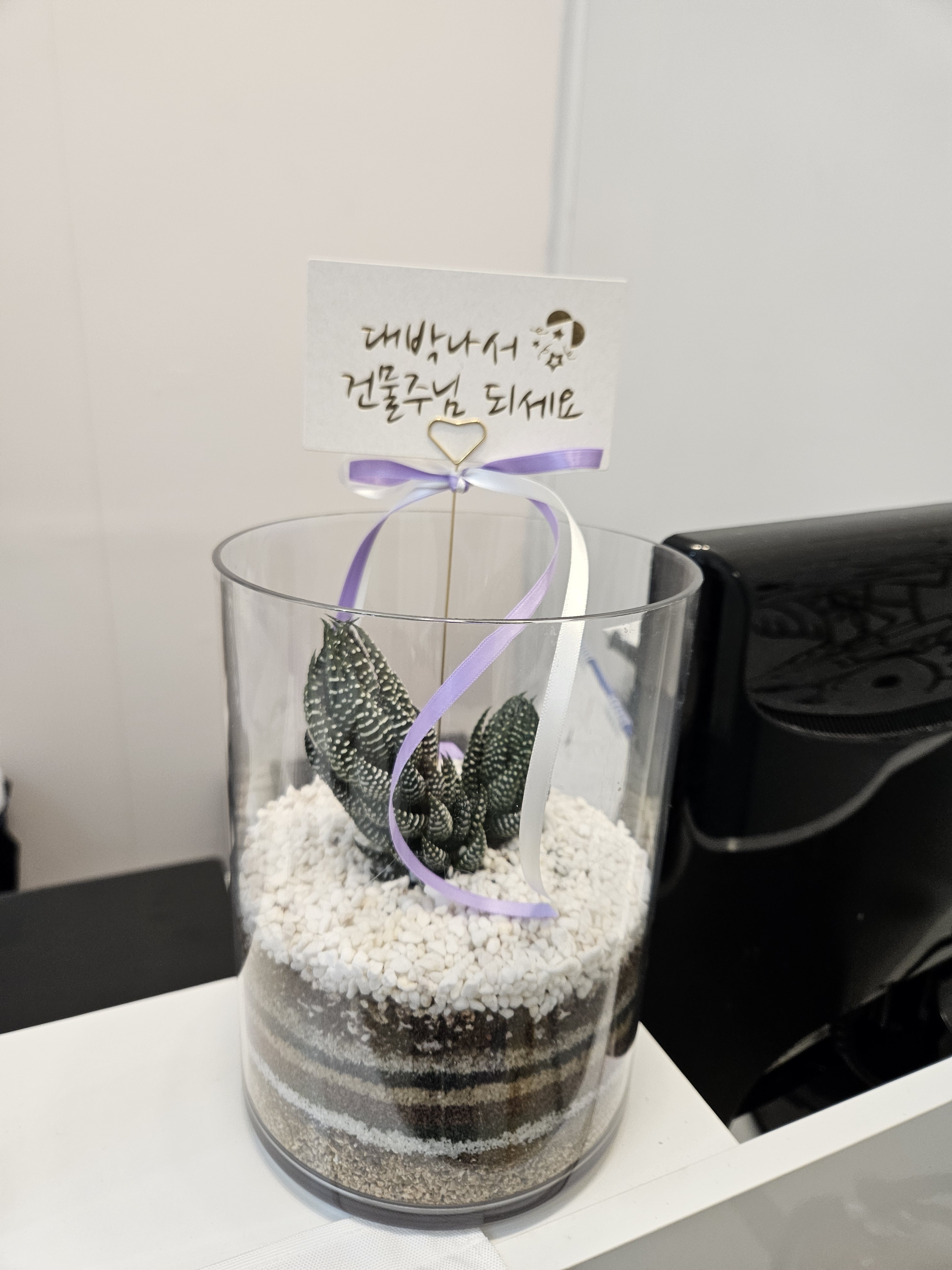 크라이오디시 photo 7