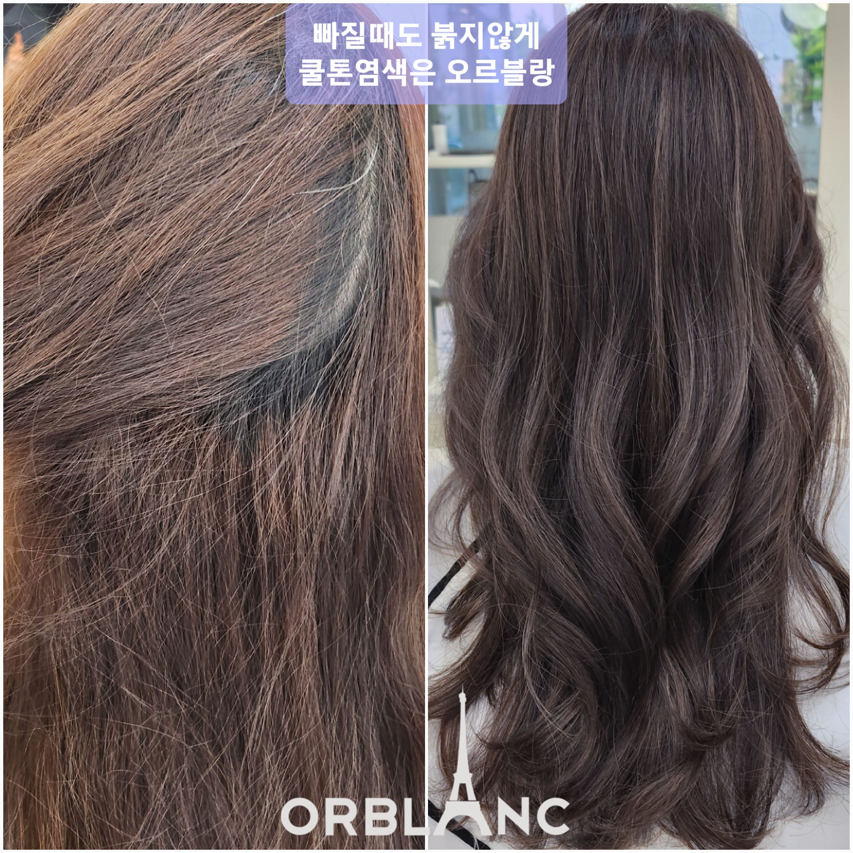 헤어오르블랑 여의도국회의사당