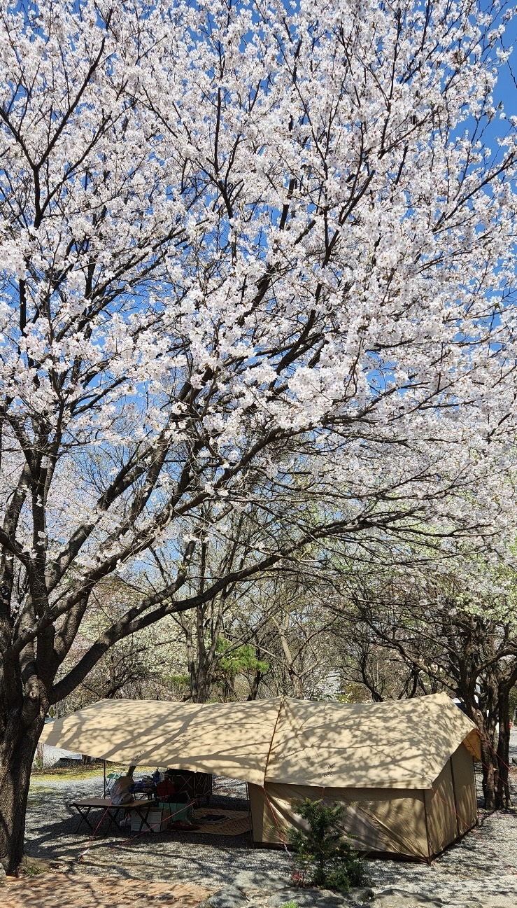 캠핑장 사진