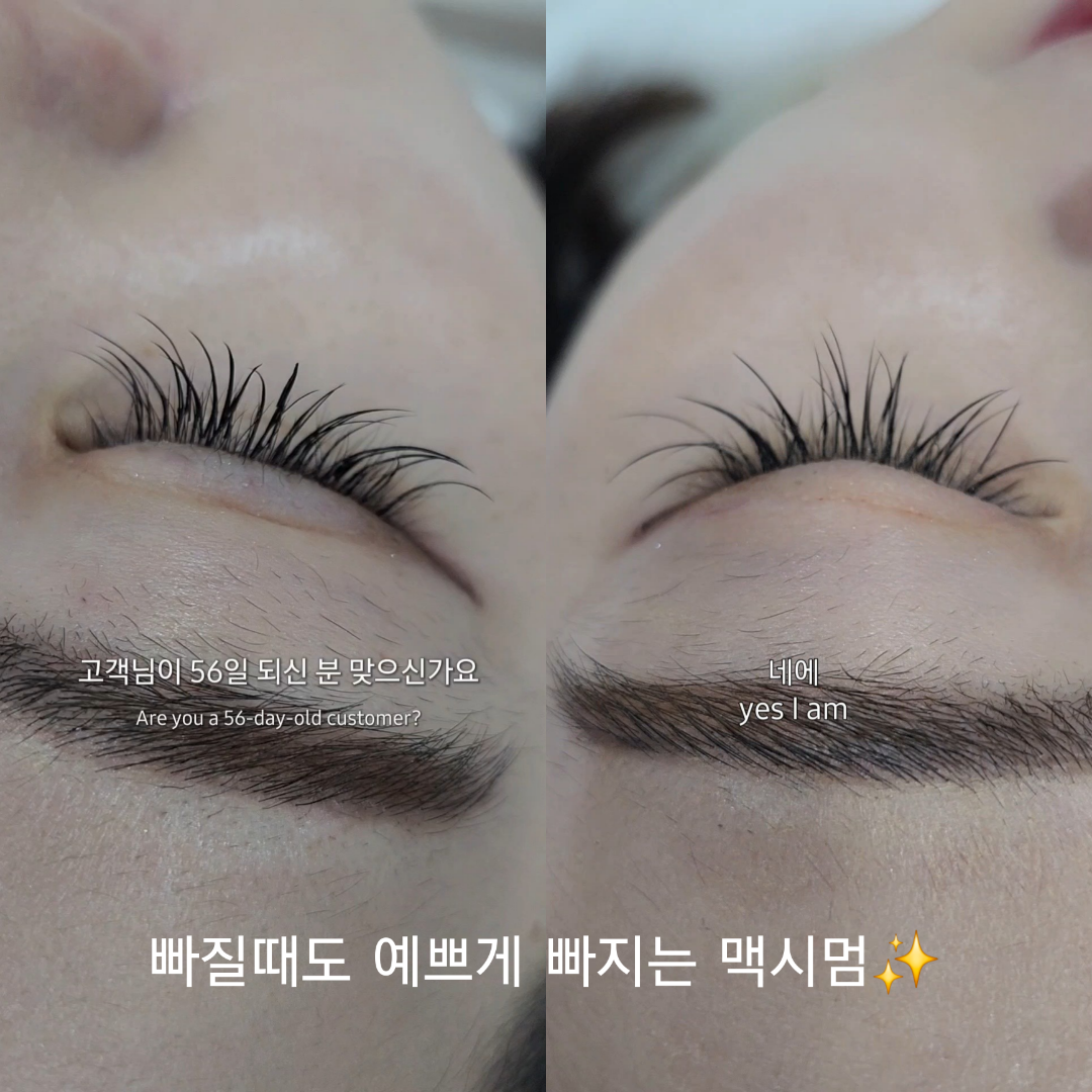 맥시멈래쉬 LED속눈썹&왁싱&브로우바 강남점