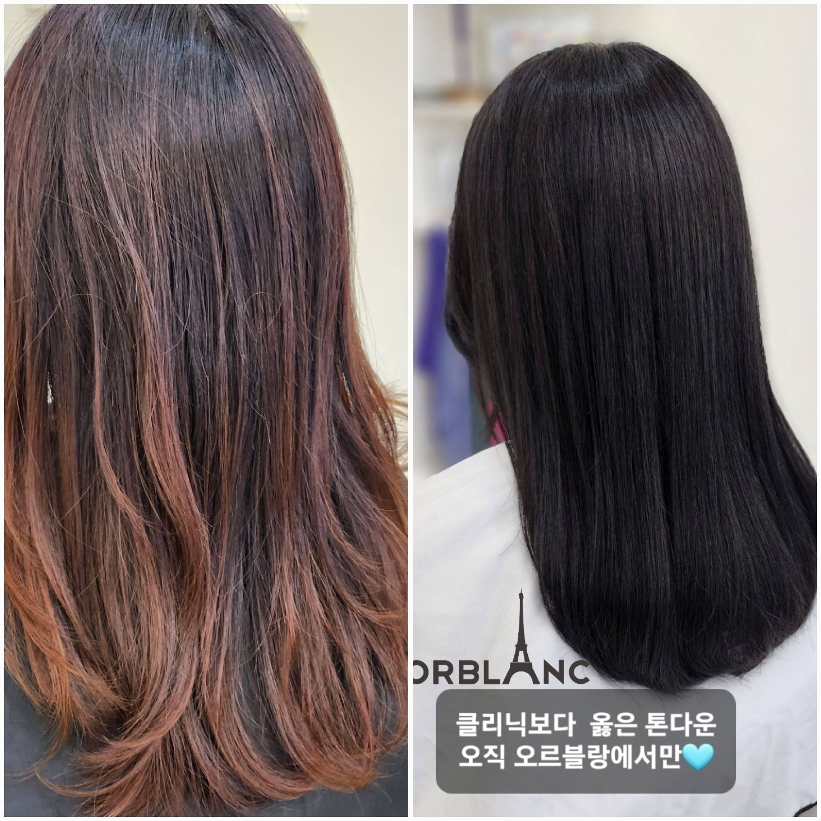 헤어오르블랑 여의도국회의사당