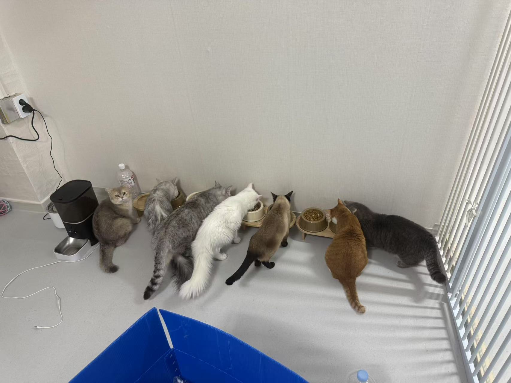 마마동물위탁 대표 이미지