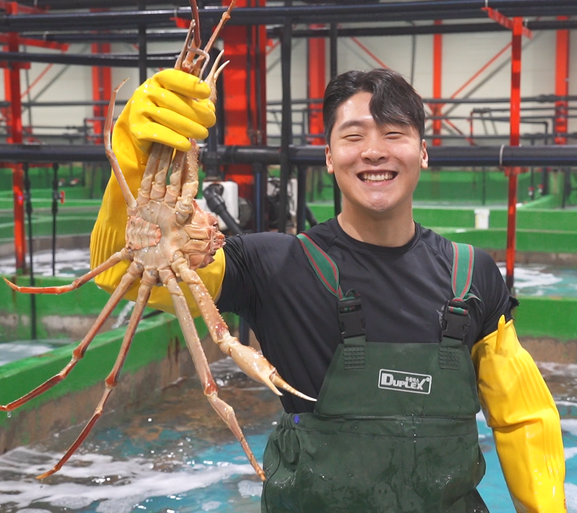 우리푸드대게 설명사진