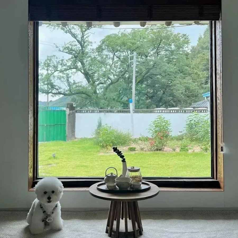 철이네 촌캉스 경상 애견숙소