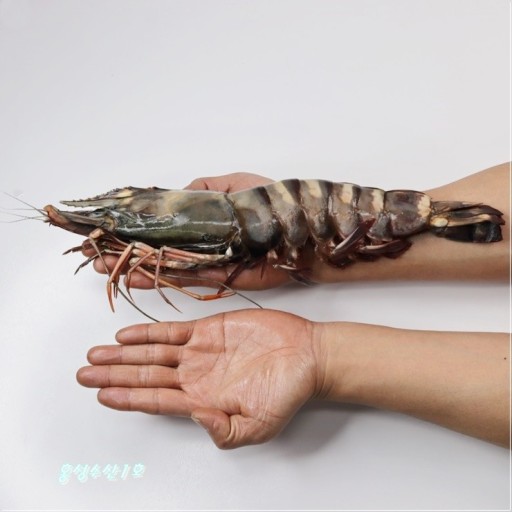 엑스맥주방 내부 또는 관련 모습