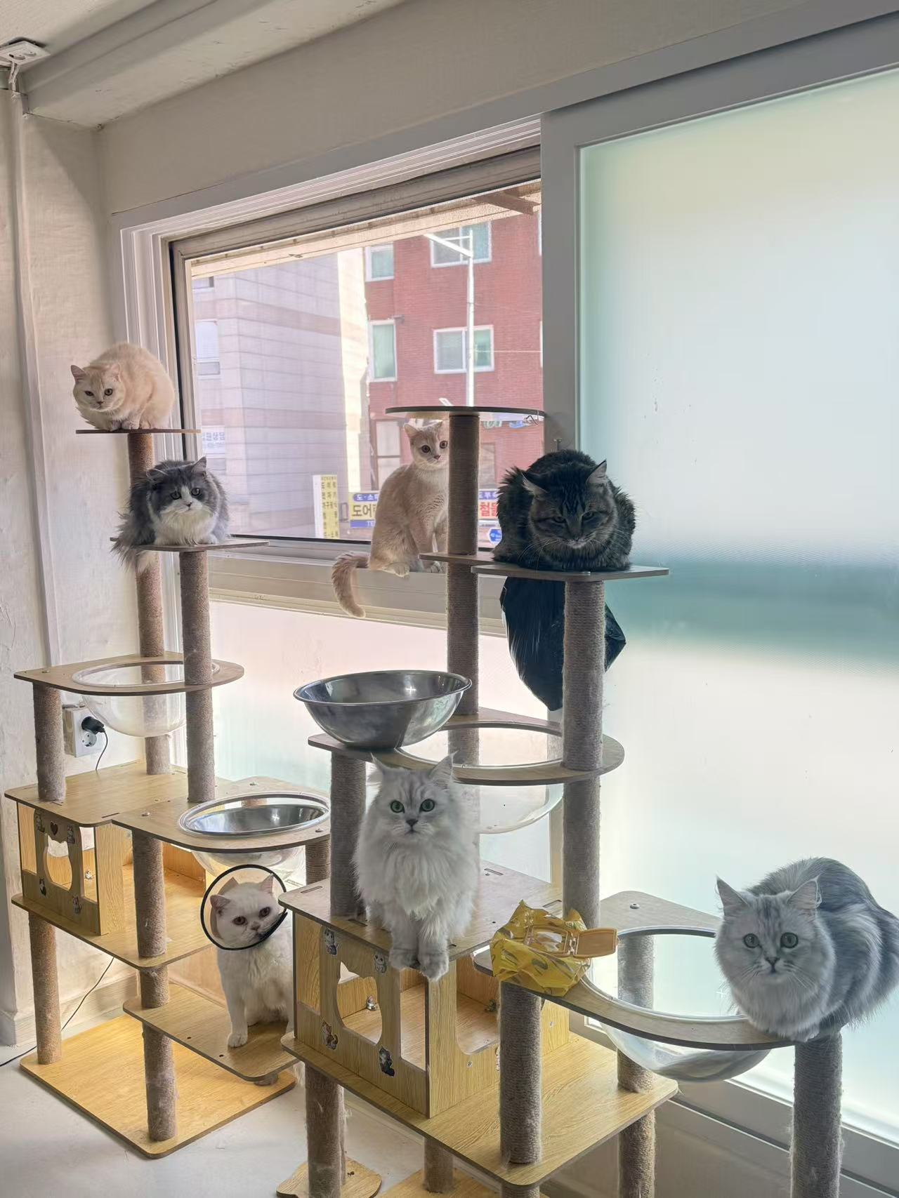 마마동물위탁 대표 이미지