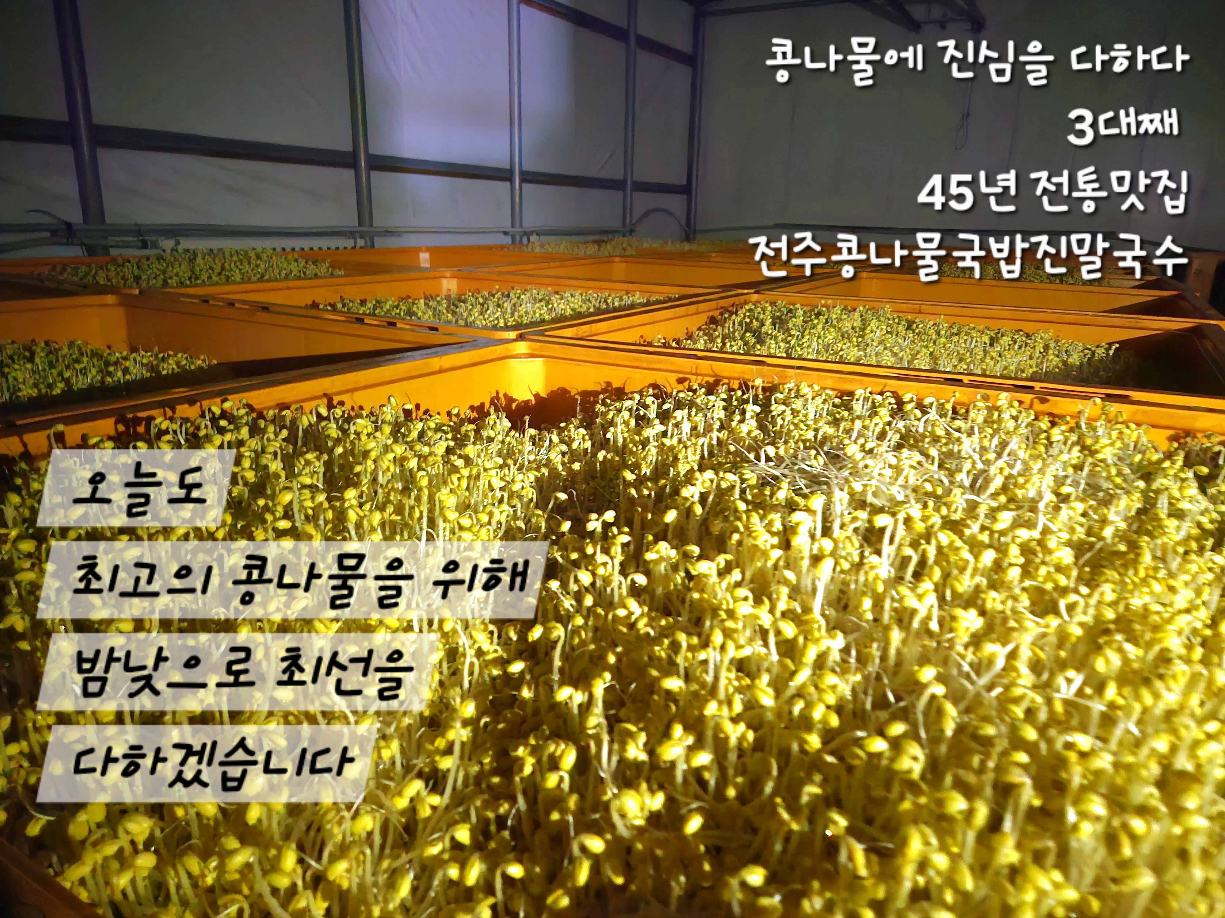 전주콩나물국밥 진말생면국수 파주금촌점