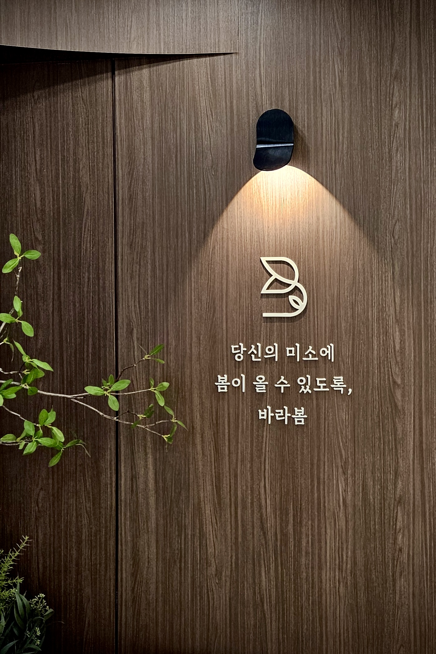 바라봄치과교정과의원 대표 이미지