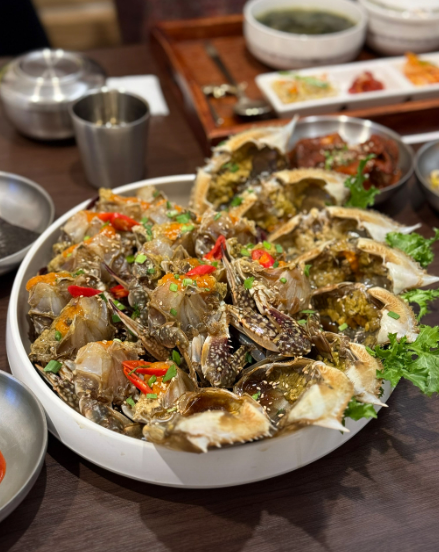 블루베리팜