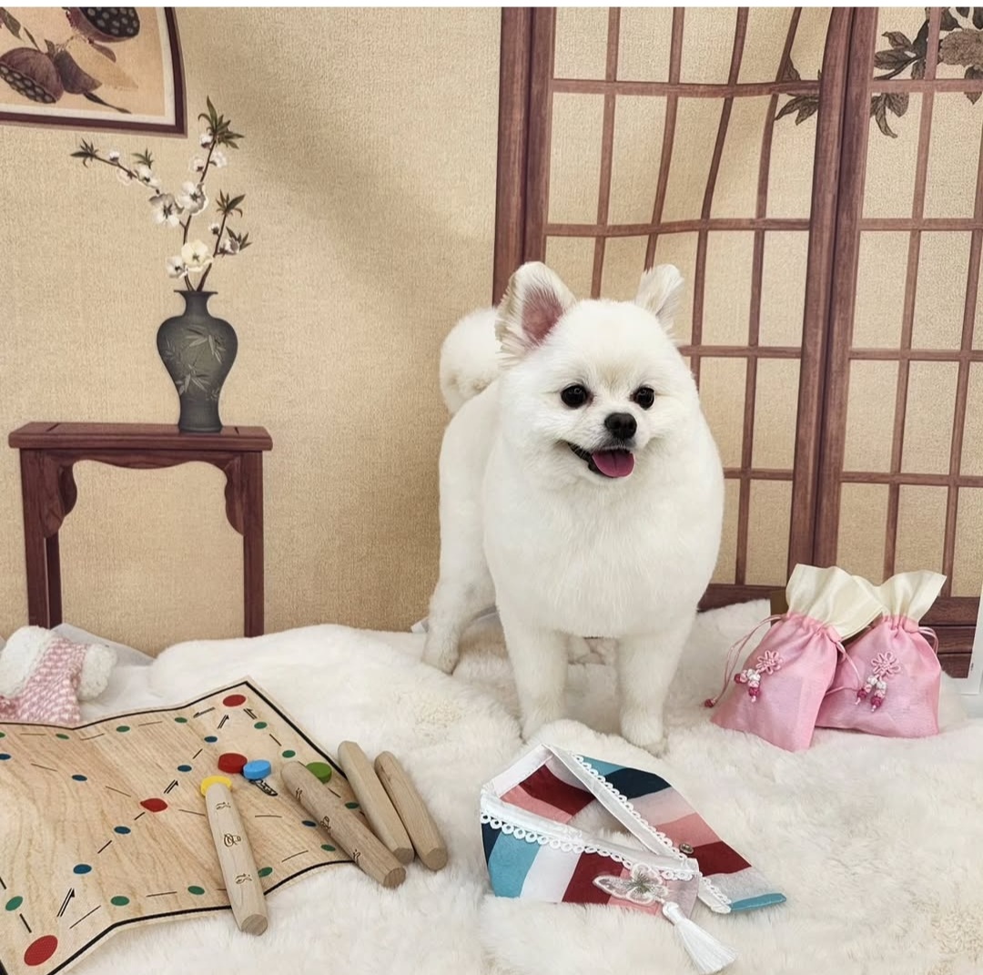 그루댕댕 대표 이미지
