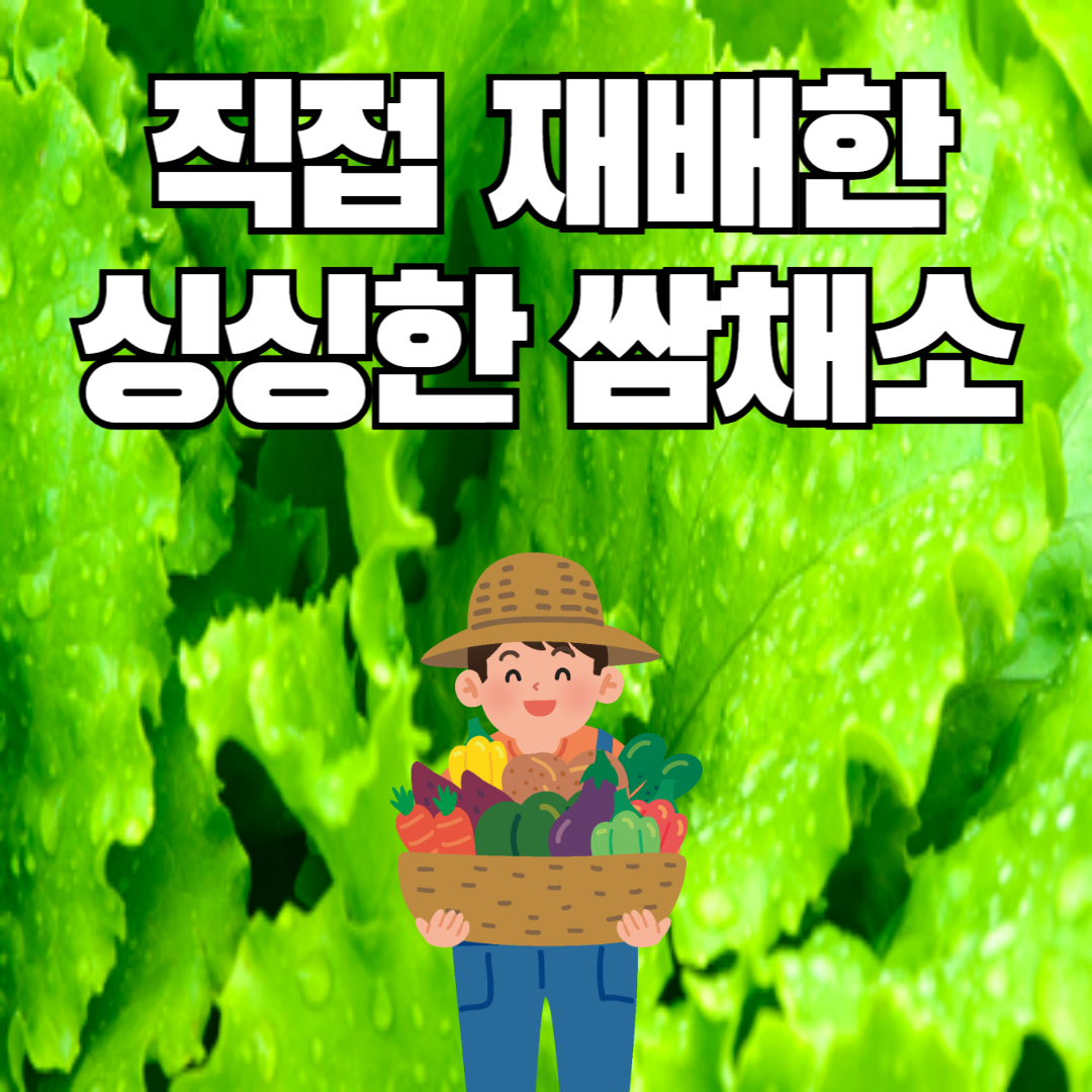 열우물 참숯 생고기
