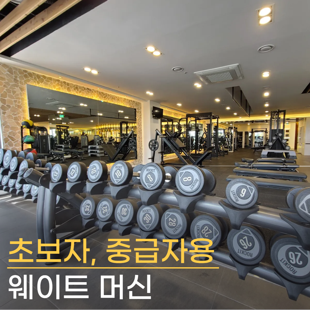 마인드휘트니스 영어교육도시점 대표 이미지