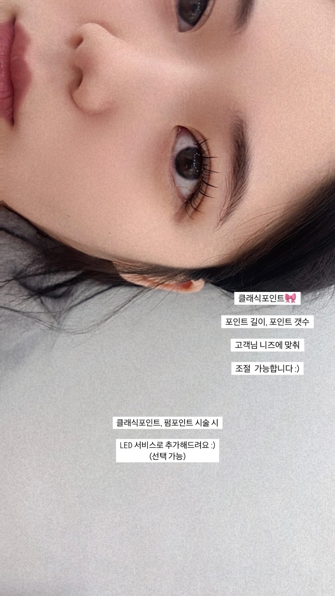 섬세희
