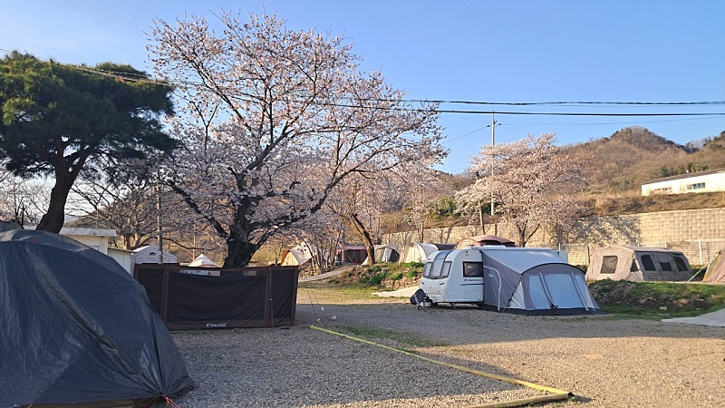 경주쿠키오토캠핑장