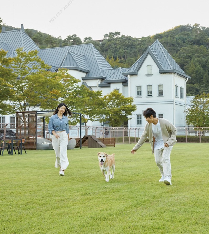 소노펫클럽앤리조트 비발디파크 강원 애견숙소