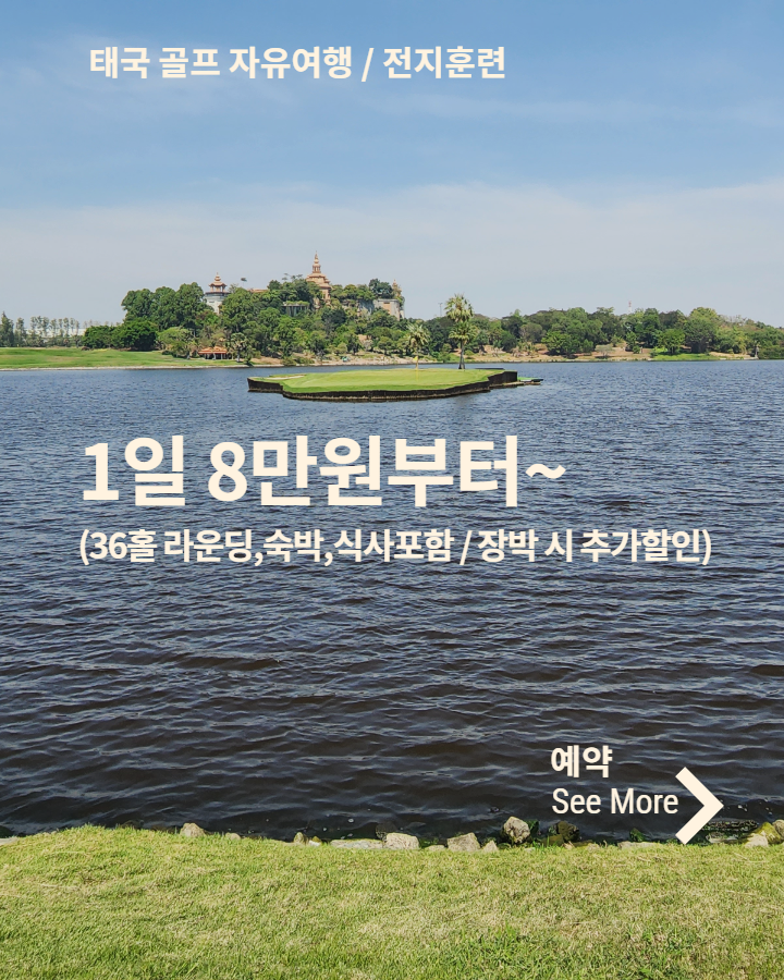 레드망고여행사