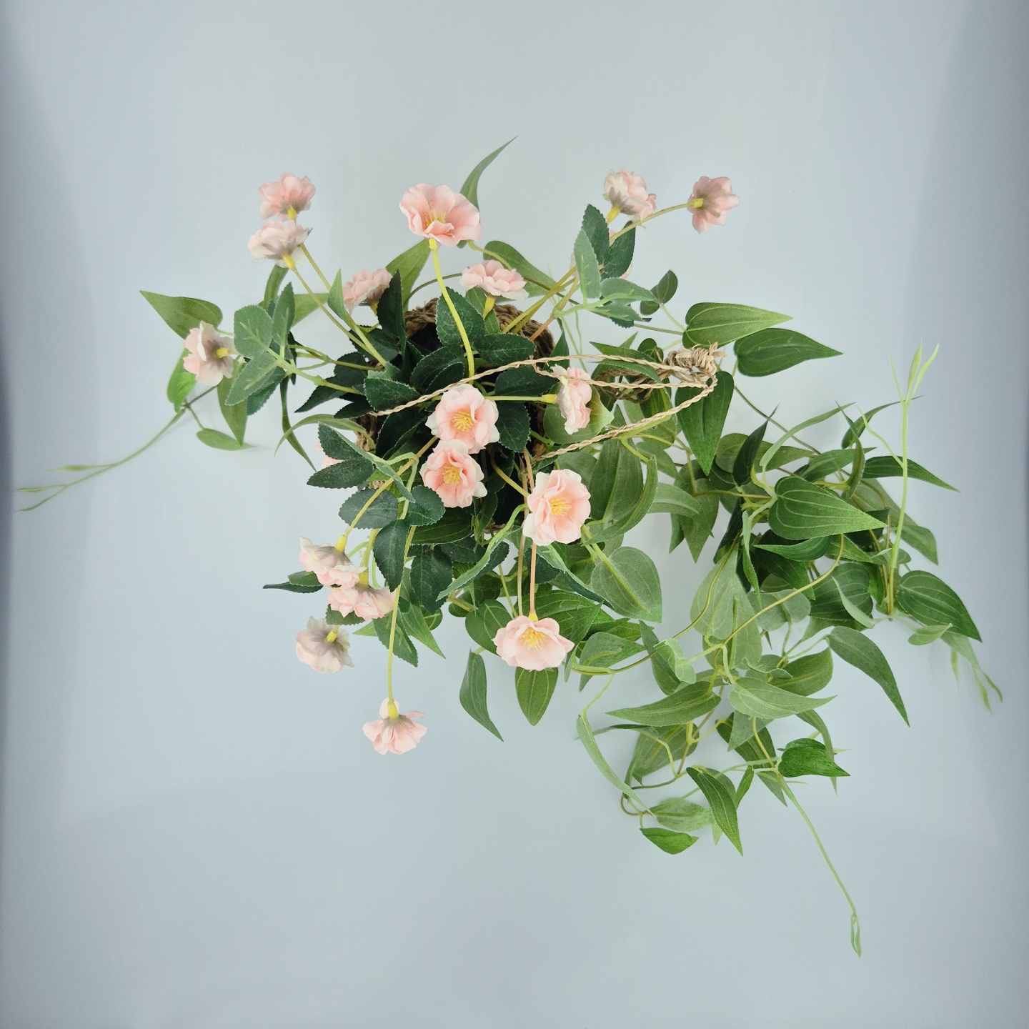 더샘스튜디오 대표 이미지