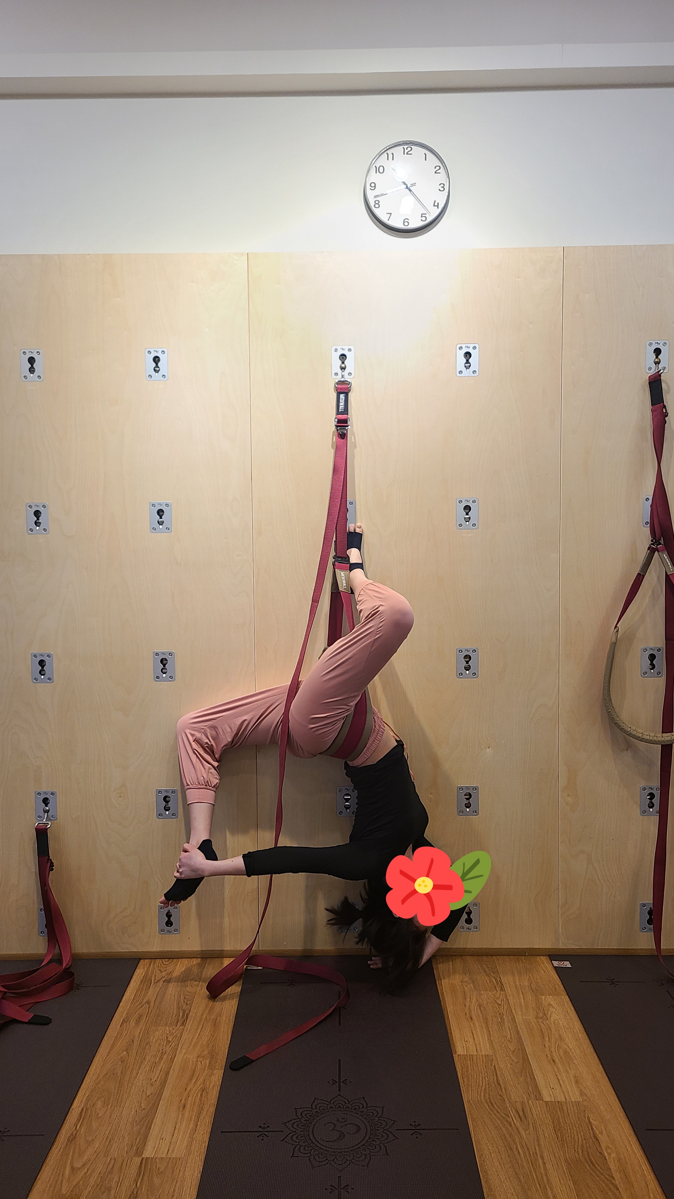 아원다옴메디월요가 대표 이미지