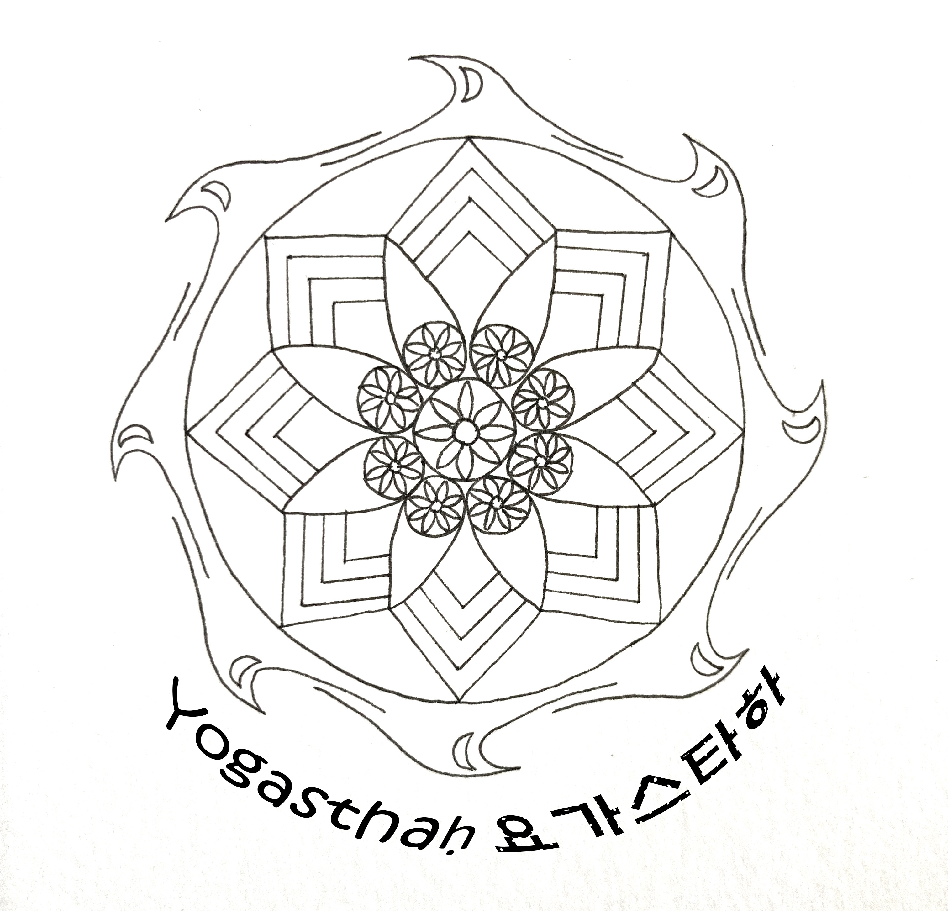 요가스타하 대표 이미지