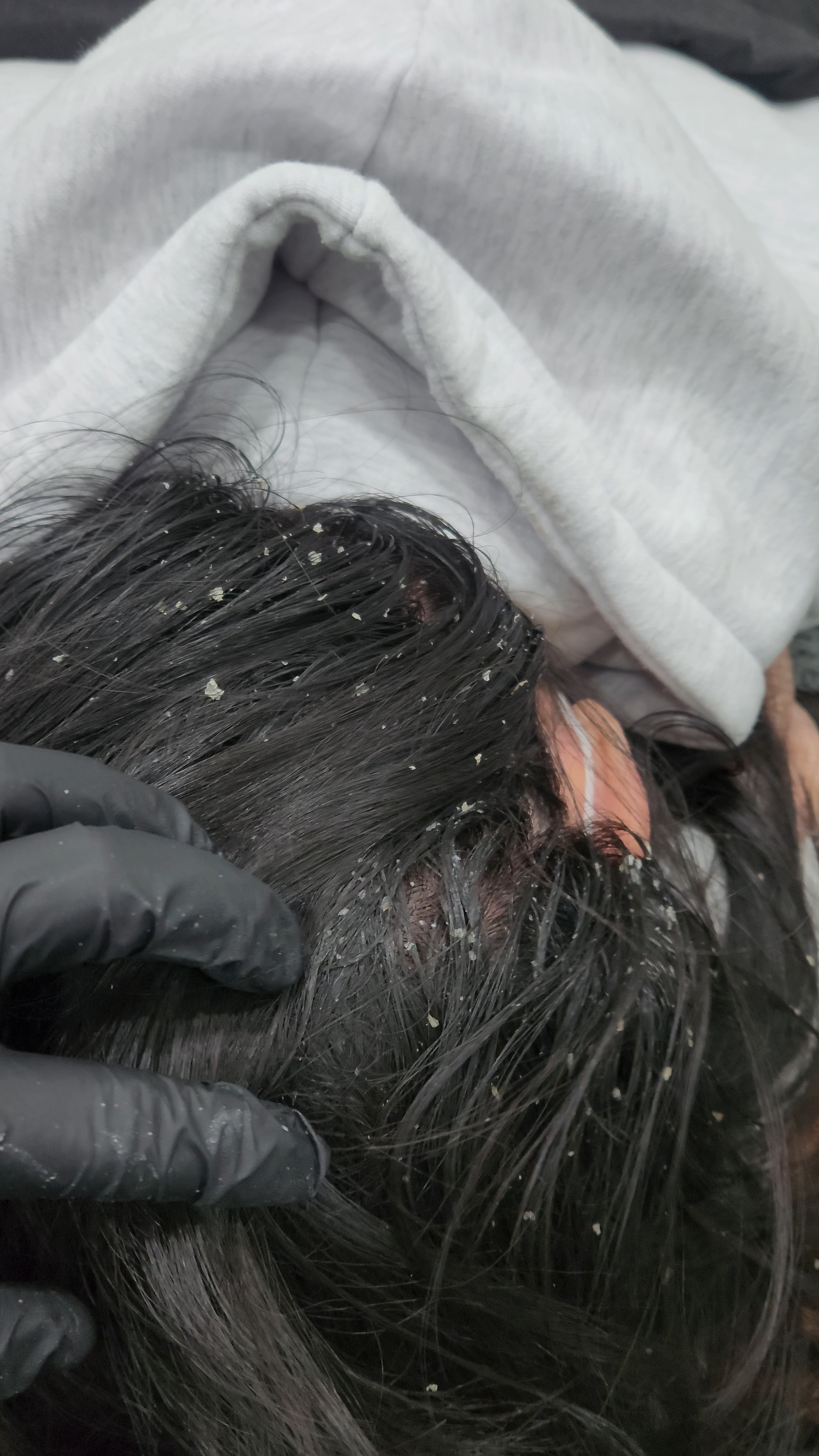 도투 대표 이미지