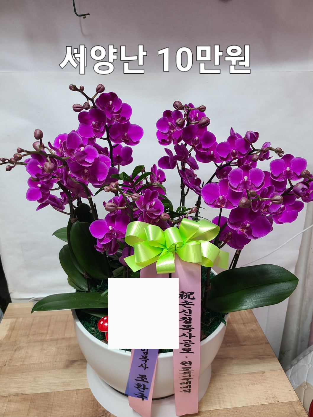 마트꽃직매장