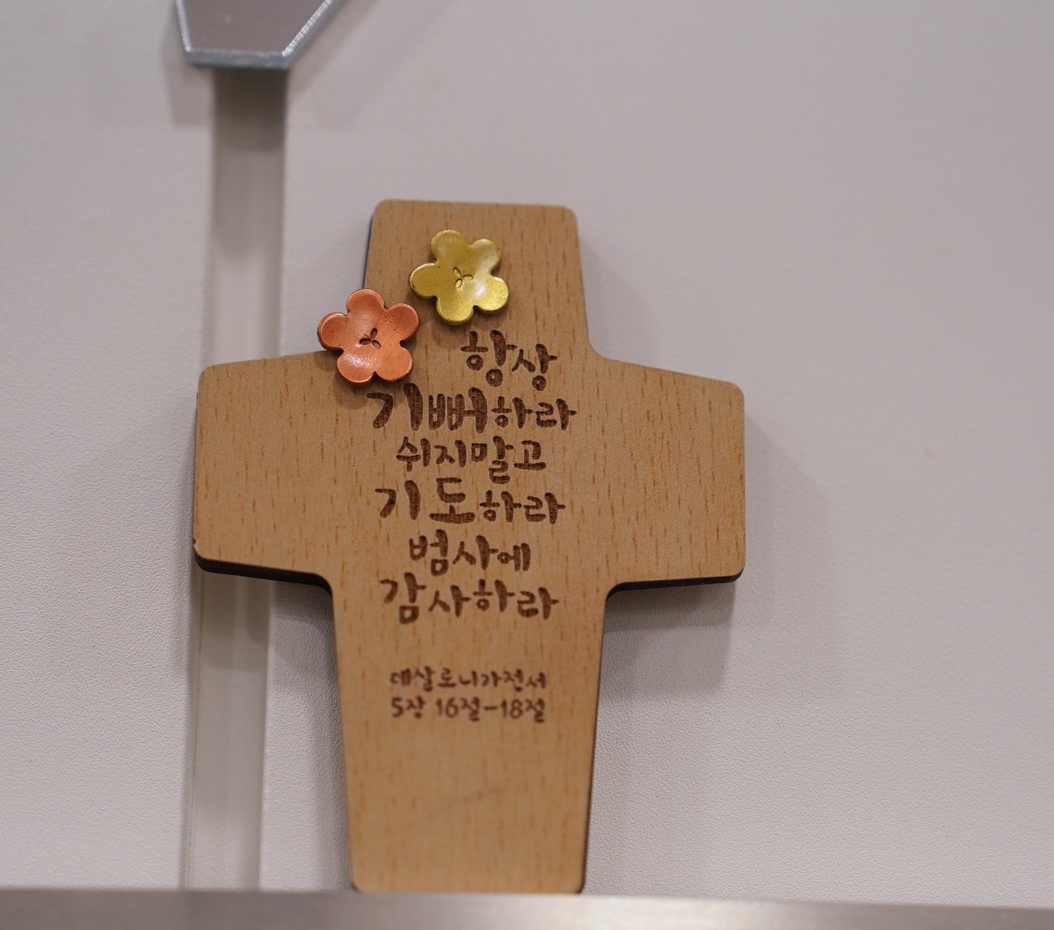 임우선선사에스테틱