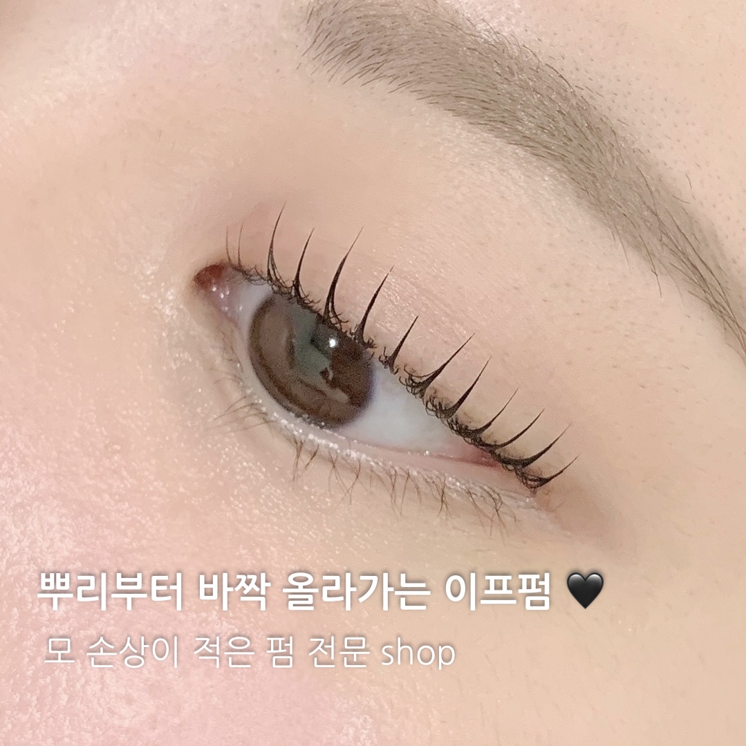 이프라인 세종
