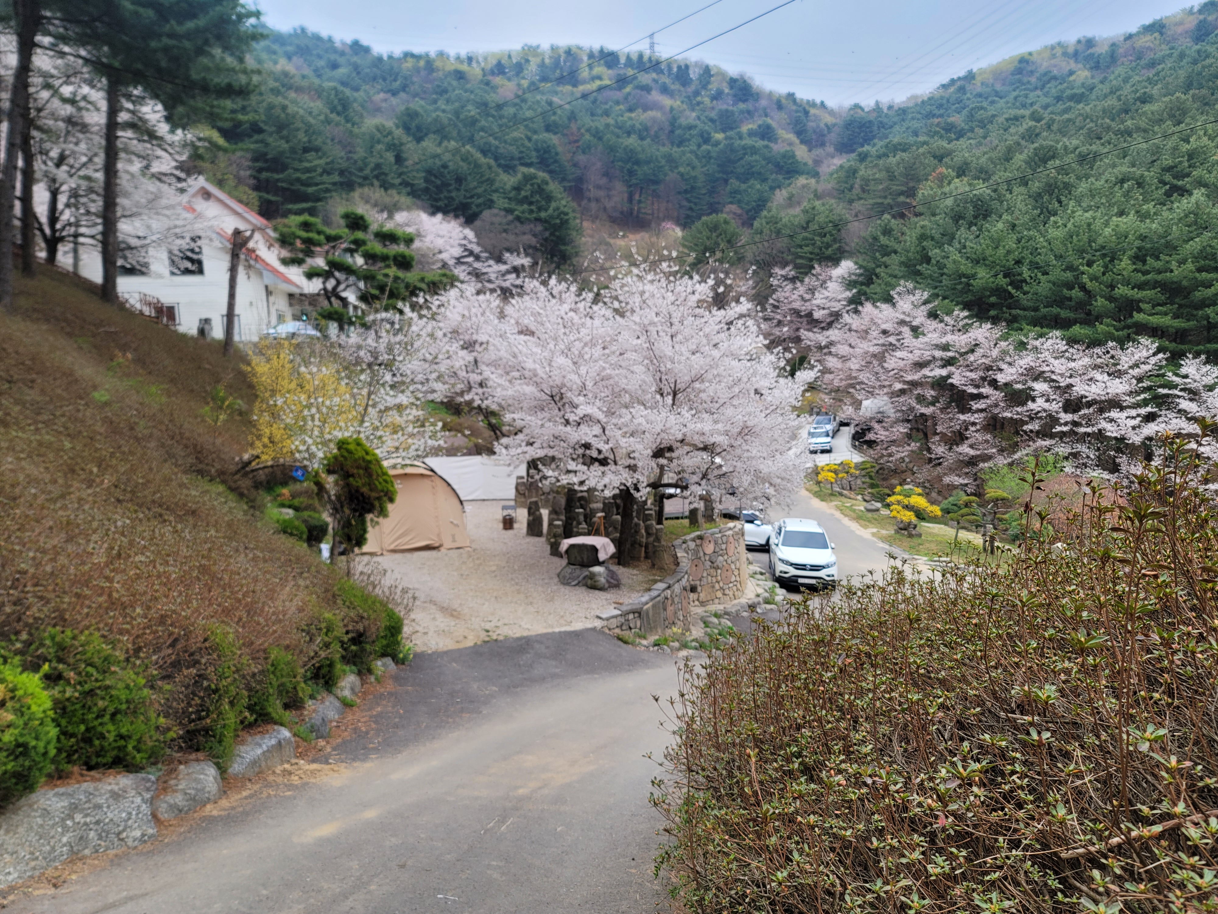 수목원프로방스
