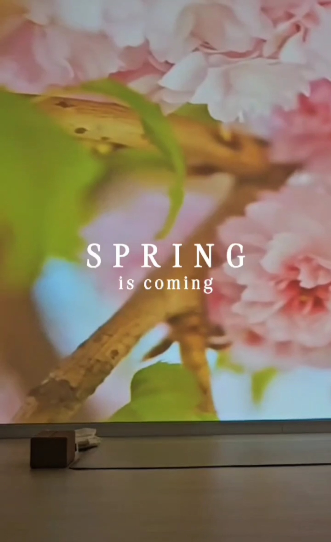 편안한요가 대표 이미지