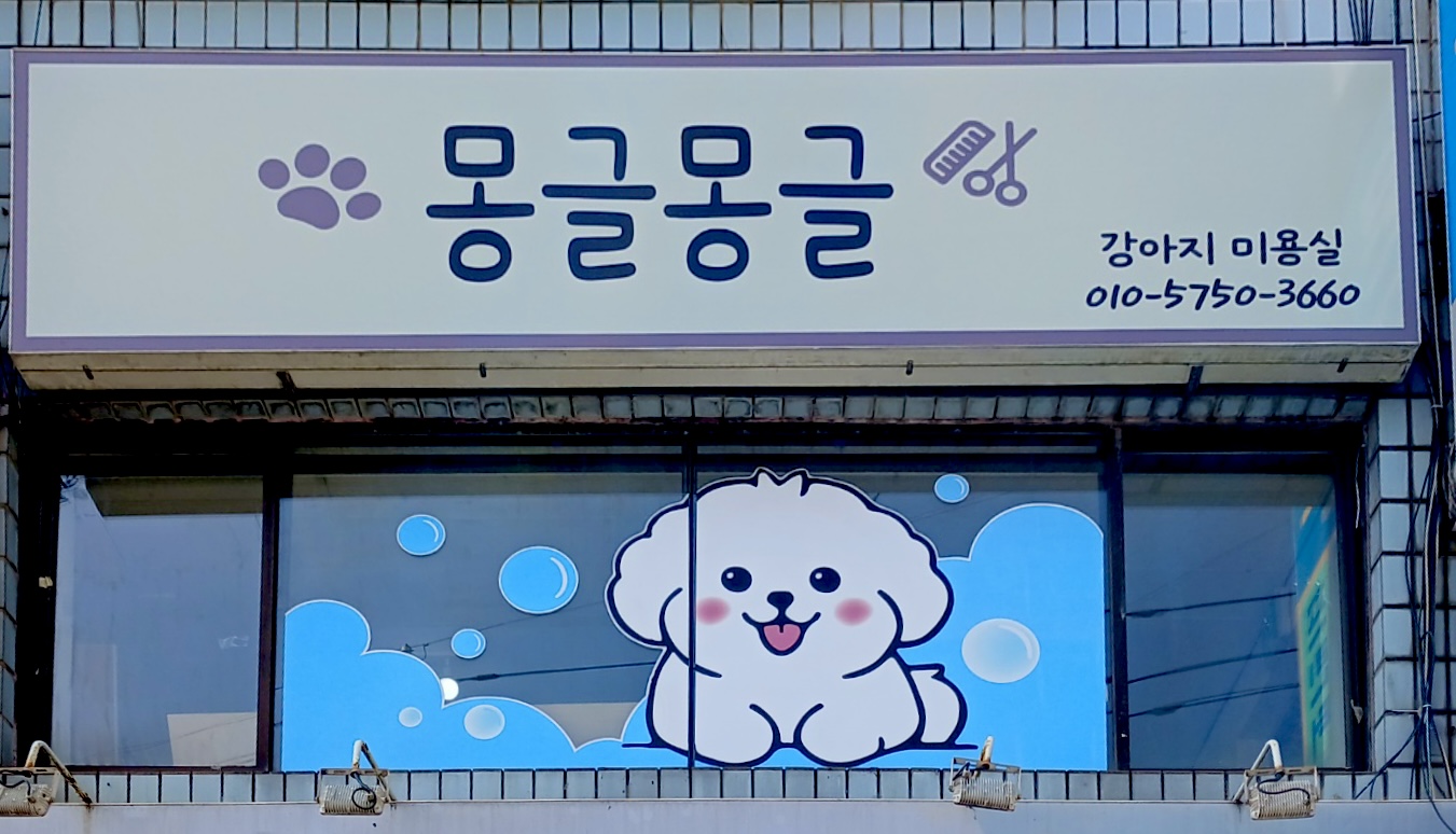 몽글몽글 대표 이미지